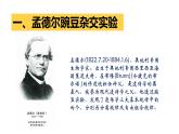 人教版八年级生物下册----7.2.3基因的显性和隐性-课件