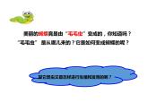 人教版八年级生物下册----1.2昆虫的生殖和发育-课件