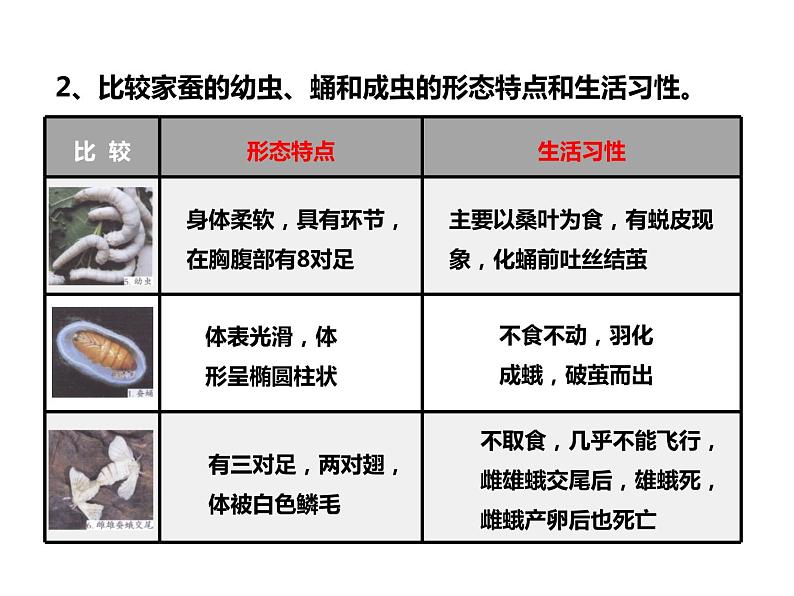 人教版八年级生物下册----1.2昆虫的生殖和发育-课件第6页