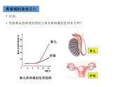 人教版七年级生物下册----4.1.3青春期课件