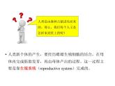 人教版七年级生物下册----4.1.2人的生殖（课件） (2)