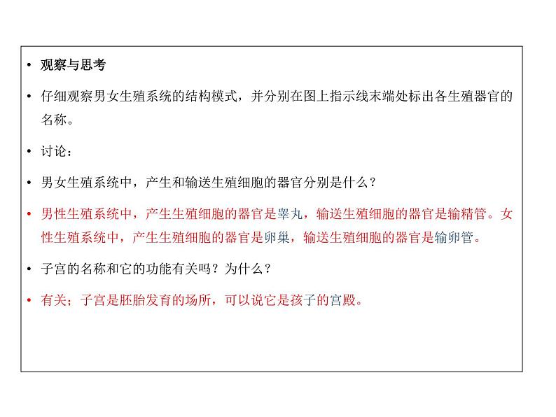 人教版七年级生物下册----4.1.2人的生殖（课件） (2)第8页