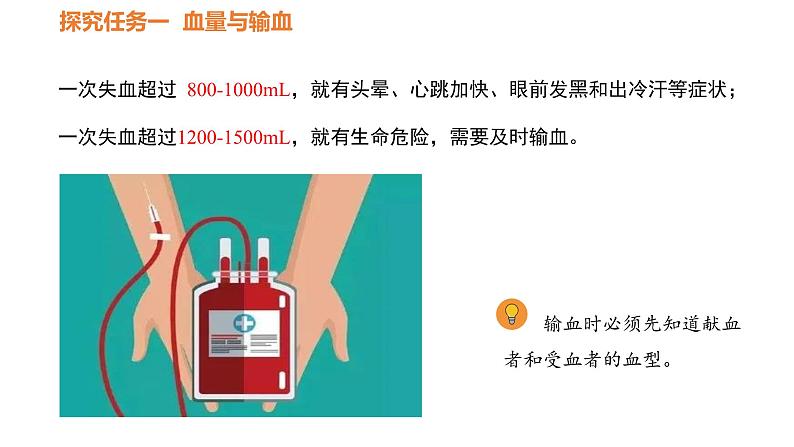 人教版七年级生物下册----4.4.4 输血与血型课件PPT05