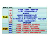 人教版七年级生物下册----4.2.2消化和吸收课件PPT