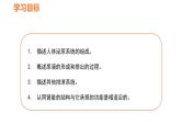 人教版七年级生物下册----4.5 人体内废物的排出课件PPT