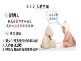 人教版七年级生物下册----4.1.2人的生殖（课件）