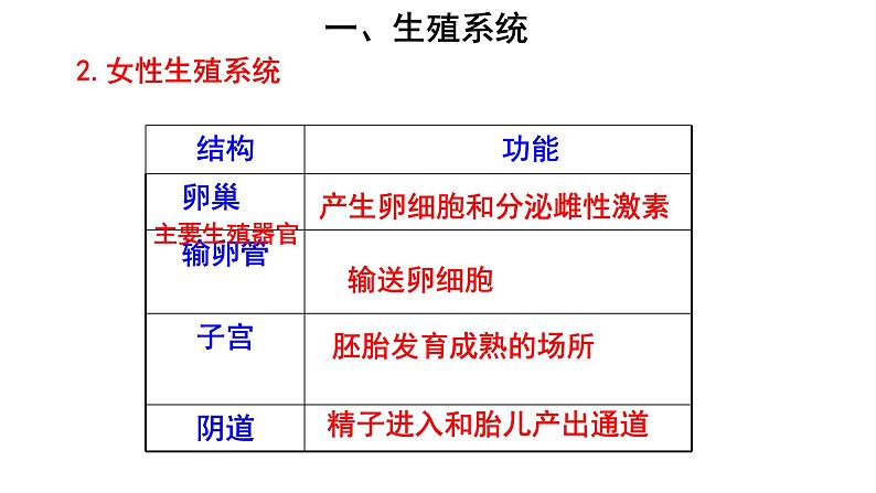 人教版七年级生物下册----4.1.2人的生殖（课件）08