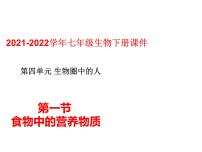 初中生物人教版 (新课标)七年级下册第一节 食物中的营养物质说课ppt课件