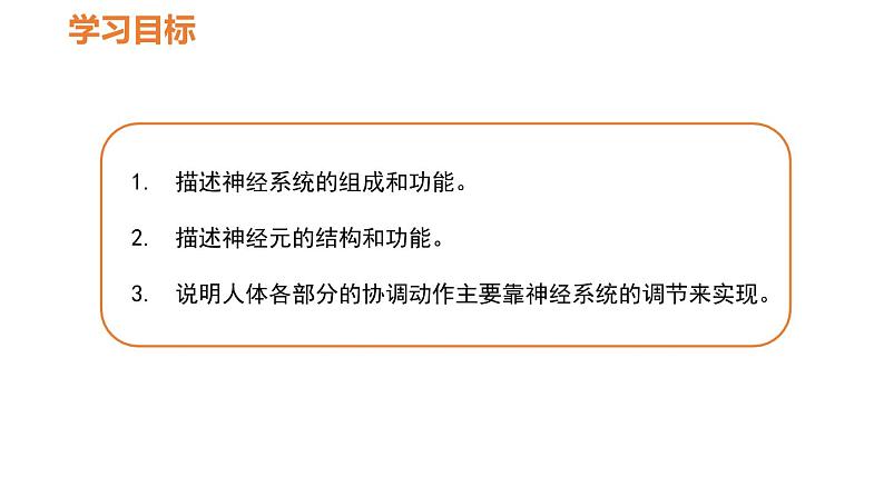 人教版七年级生物下册----4.6.2神经系统的组成-课件第3页