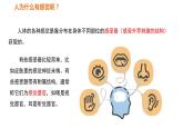 人教版七年级生物下册----4.6.1人体对外界环境的感知-课件
