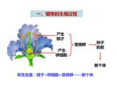 人教版七年级生物下册----4.1.2人的生殖（课件）+ 视频素材