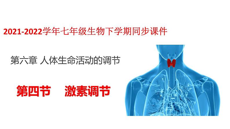 人教版七年级生物下册----4.6.4激素调节-课件第1页