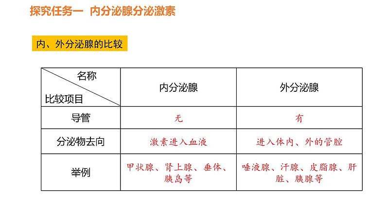 人教版七年级生物下册----4.6.4激素调节-课件第6页