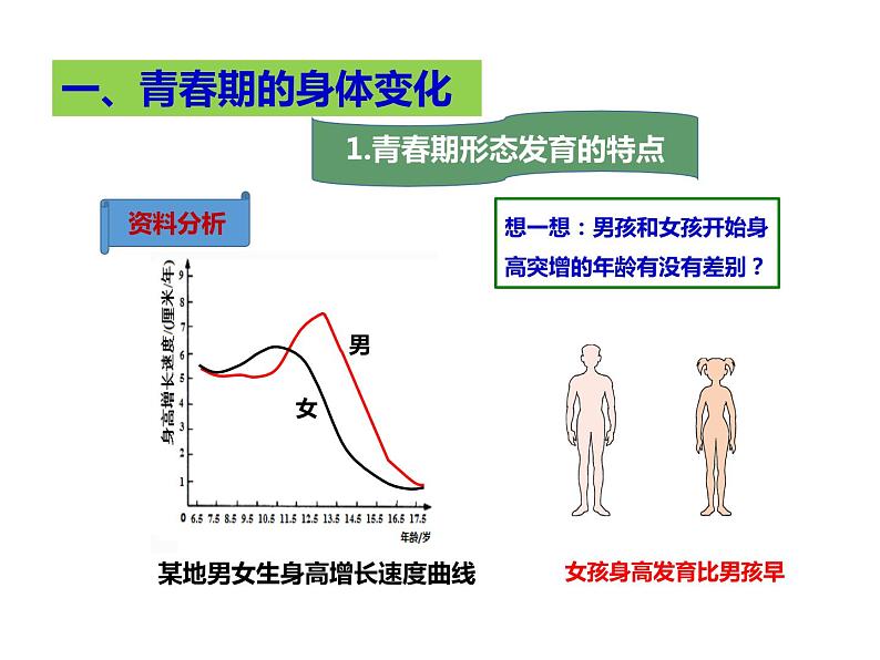 人教版七年级生物下册----4.1.3青春期（课件1）03