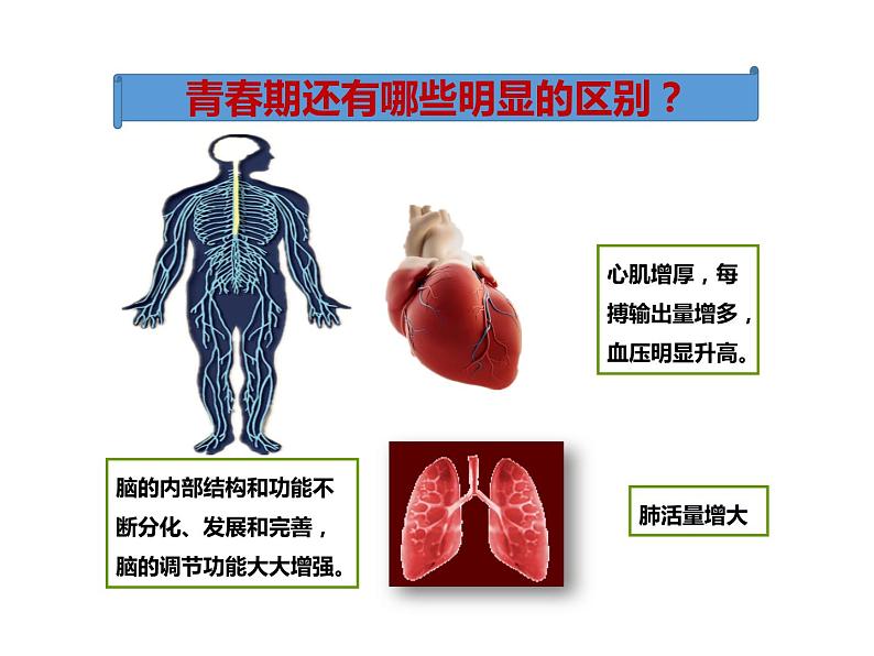 人教版七年级生物下册----4.1.3青春期（课件1）05