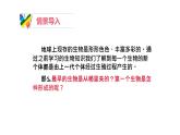 21.1 生命的起源 课件 北师大版八年级下册生物