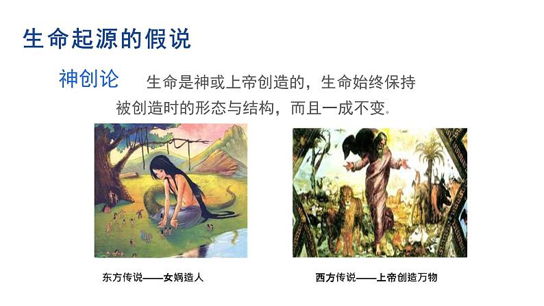 21.1 生命的起源 课件 北师大版八年级下册生物03