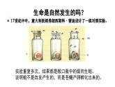 21.1 生命的起源 课件 北师大版八年级下册生物