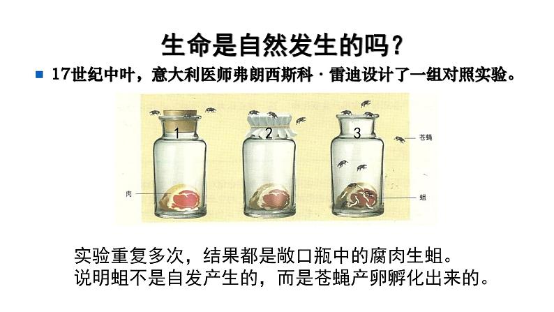 21.1 生命的起源 课件 北师大版八年级下册生物05