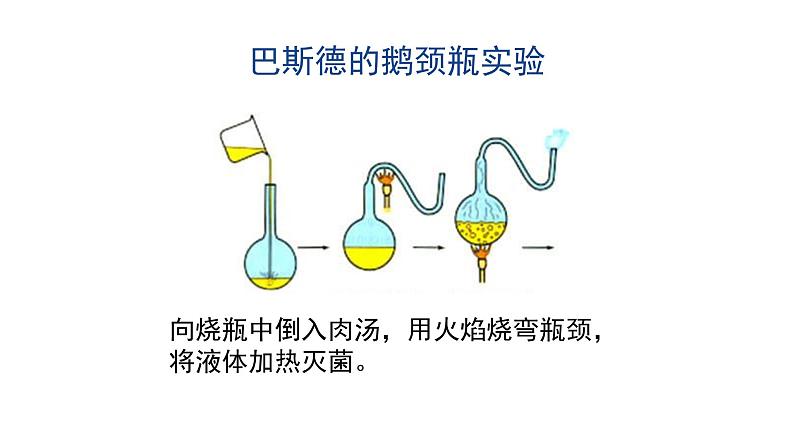 21.1 生命的起源 课件 北师大版八年级下册生物07