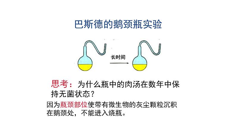 21.1 生命的起源 课件 北师大版八年级下册生物08