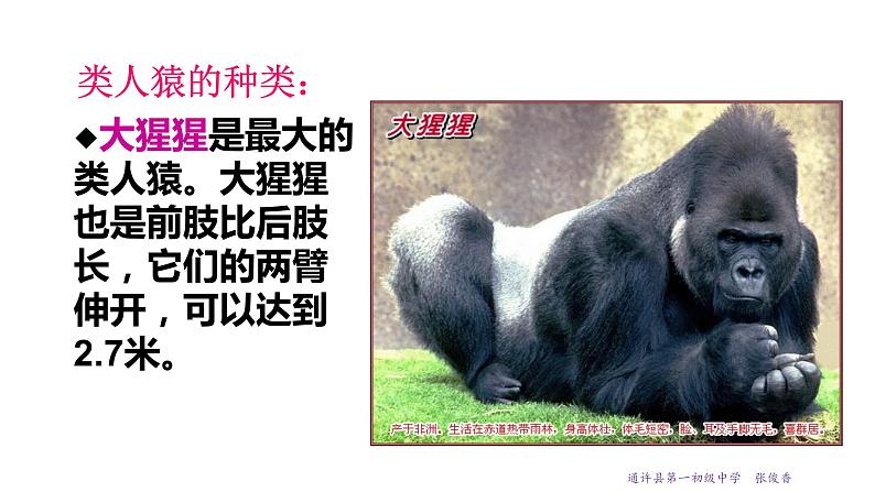 21.3 人类的起源与进化 课件 北师大版八年级下册生物08