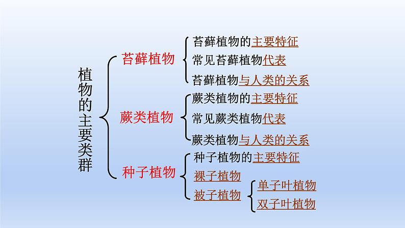 22.3 植物的主要类群 课件 北师大版八年级下册生物02