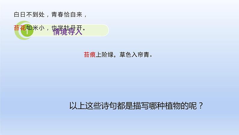 22.3 植物的主要类群 课件 北师大版八年级下册生物03