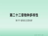 22.3 植物的主要类群 课时1 课件 北师大版八年级下册生物