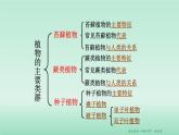 22.3 植物的主要类群 课时1 课件 北师大版八年级下册生物