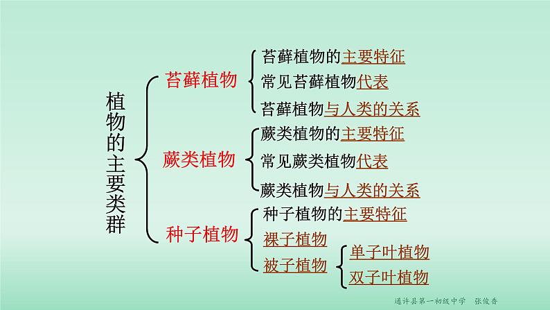 22.3 植物的主要类群 课时1 课件 北师大版八年级下册生物第2页