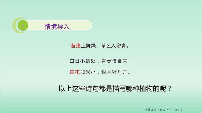 22.3 植物的主要类群 课时1 课件 北师大版八年级下册生物第3页