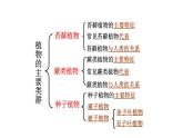 22.3 植物的主要类群课时1 课件 北师大版八年级下册生物