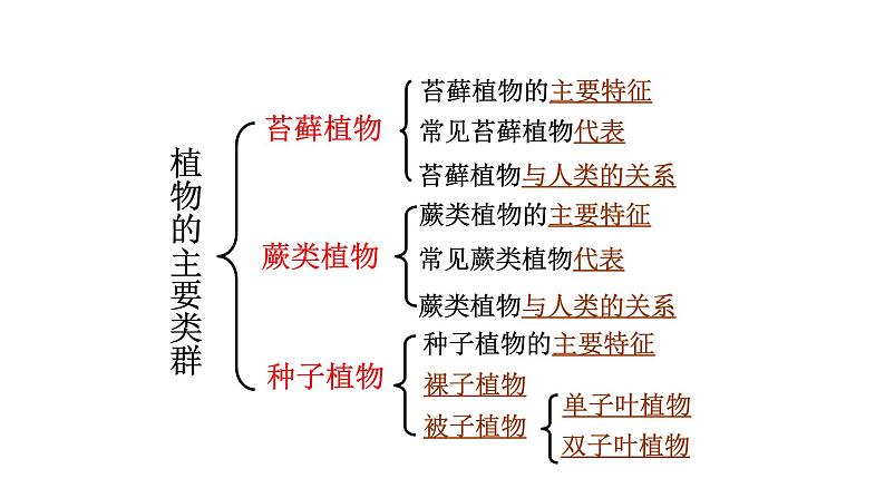 22.3 植物的主要类群课时1 课件 北师大版八年级下册生物02