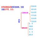 22.4 动物的主要类群课时1 课件 北师大版八年级下册生物