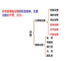 22.4 动物的主要类群课时2 课件 北师大版八年级下册生物