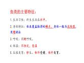 22.4 动物的主要类群课时3 课件 北师大版八年级下册生物
