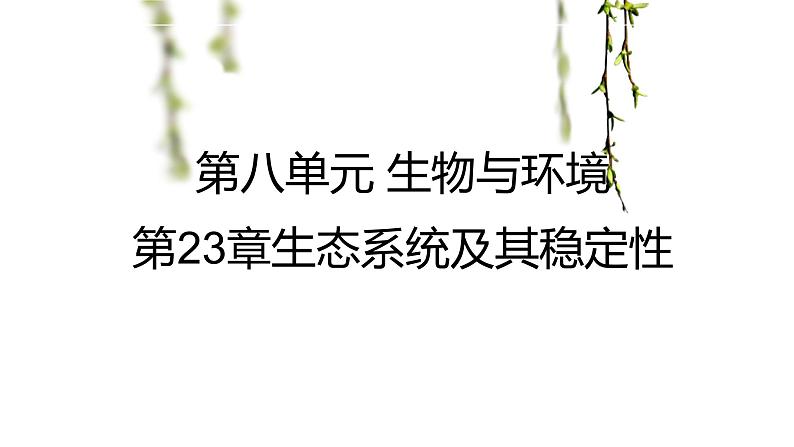 23.3 生态系统的结构和功能 课件 北师大版八年级下册生物01