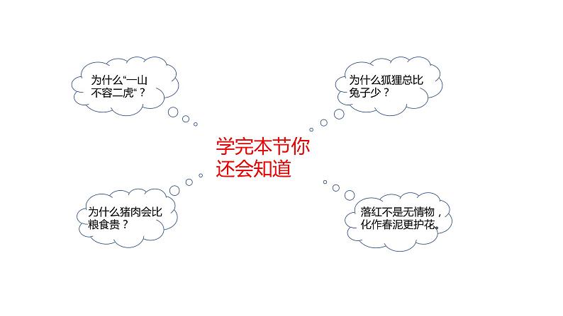 23.3 生态系统的结构和功能 课件 北师大版八年级下册生物05