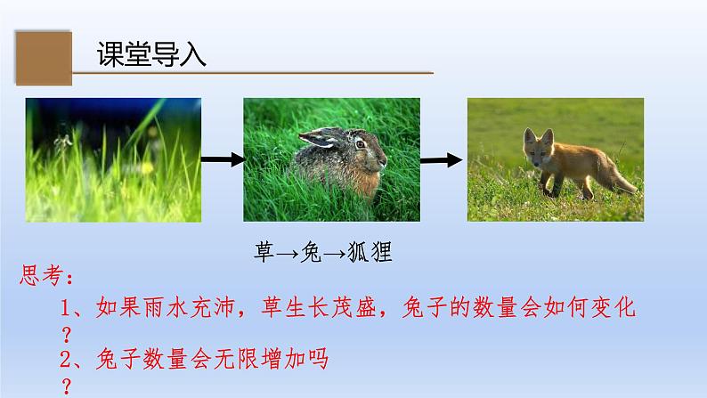 23.4 生态系统的稳定性第2页