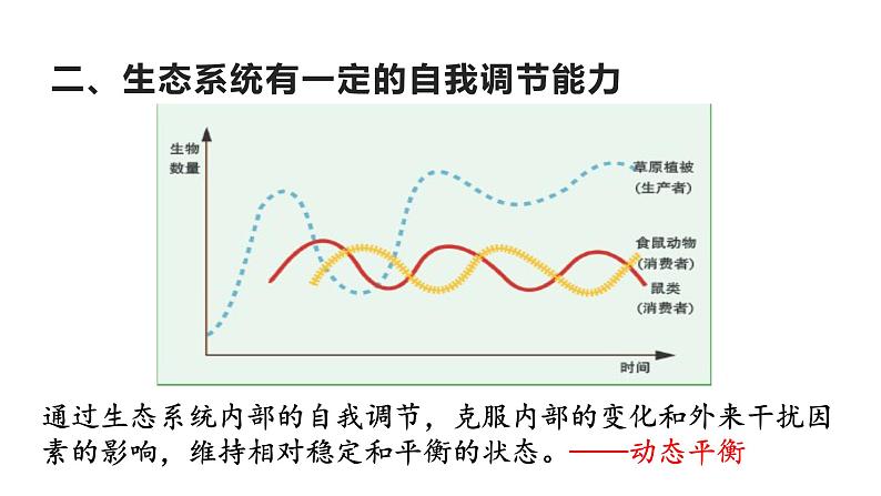 23.4 生态系统的稳定性第6页