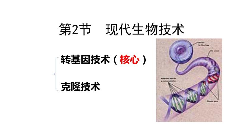 25.2 现代生物技术 课件 北师大版八年级下册生物第2页