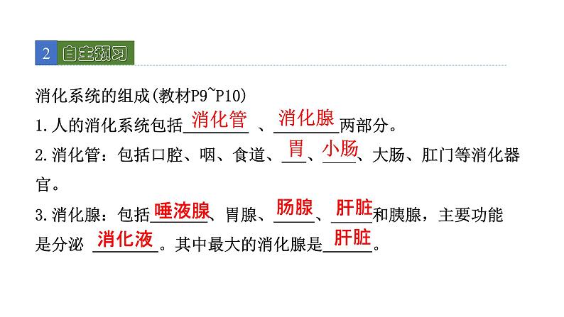 8.2 食物的消化和营养物质的吸收 第1课时 课件 北师大版七年级生物下册第3页