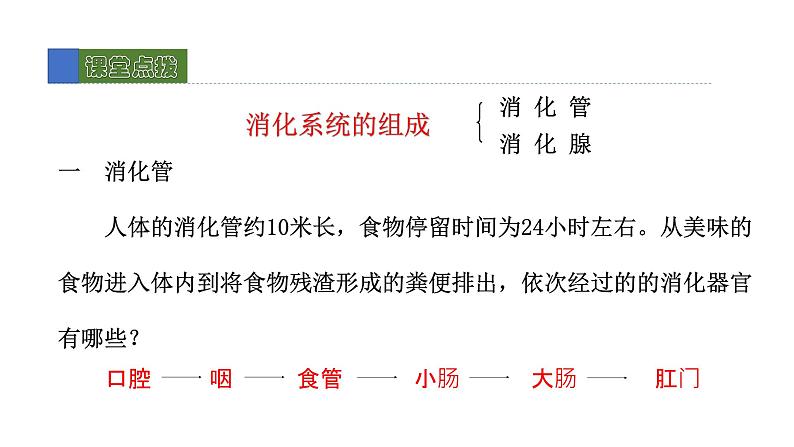 8.2 食物的消化和营养物质的吸收 第1课时 课件 北师大版七年级生物下册第6页