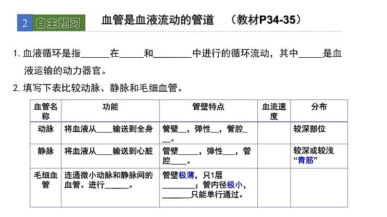 9.2血液循环1 课件 北师大版七年级生物下册03