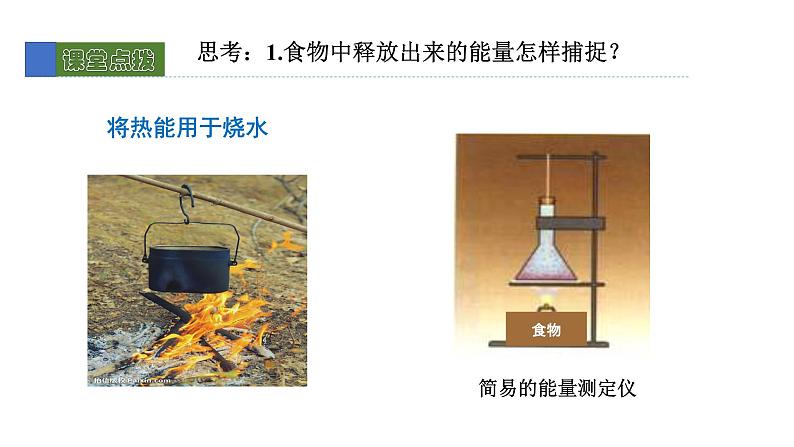 10.1食物中能量的释放 课件 北师大版七年级生物下册第6页