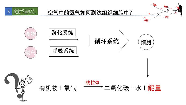 10.2人体细胞获得氧气的过程1 课件 北师大版七年级生物下册第4页