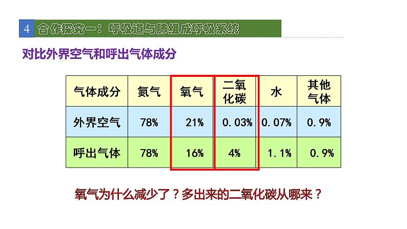 10.2人体细胞获得氧气的过程1 课件 北师大版七年级生物下册第5页