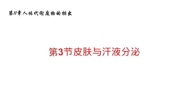 11.3皮肤与汗液分泌 课件 北师大版七年级生物下册01