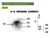 12.2感受器和感觉器官1 课件 北师大版七年级生物下册